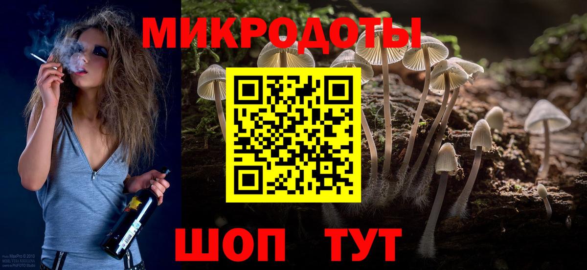 Галлюциногенные грибы Psilocybe Чусовой