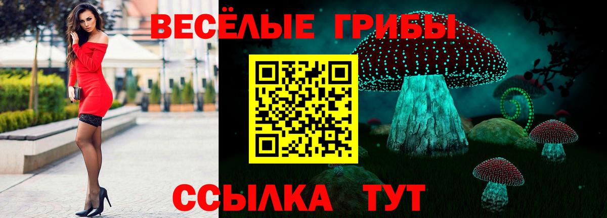 Псилоцибиновые грибы MAGIC MUSHROOMS  Галлюциногенные грибы Psilocybe  Вход с VPN  Чусовой 